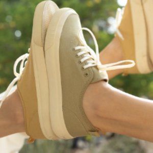 Everlane The Forever Sneaker nwot